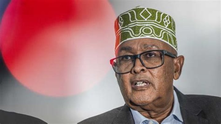 Abdullahi Yusuf Ahmed’s biography, net worth, fact, career, awards and life story