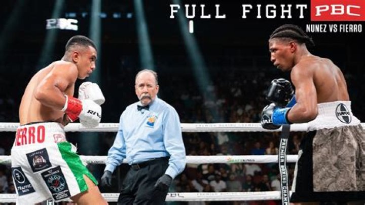 Who Is Luis Reynaldo Nunez? Everything To Know About The Professional Boxer